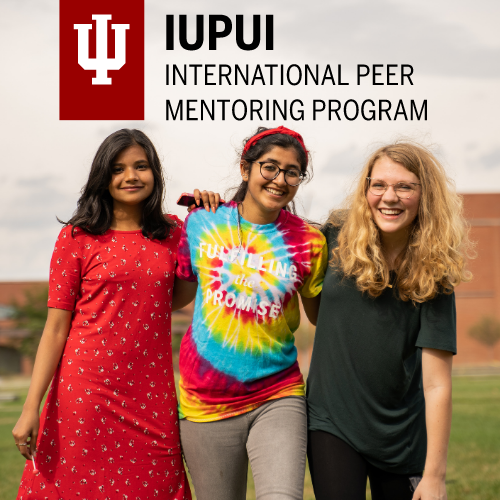 International Peer Mentoring Program