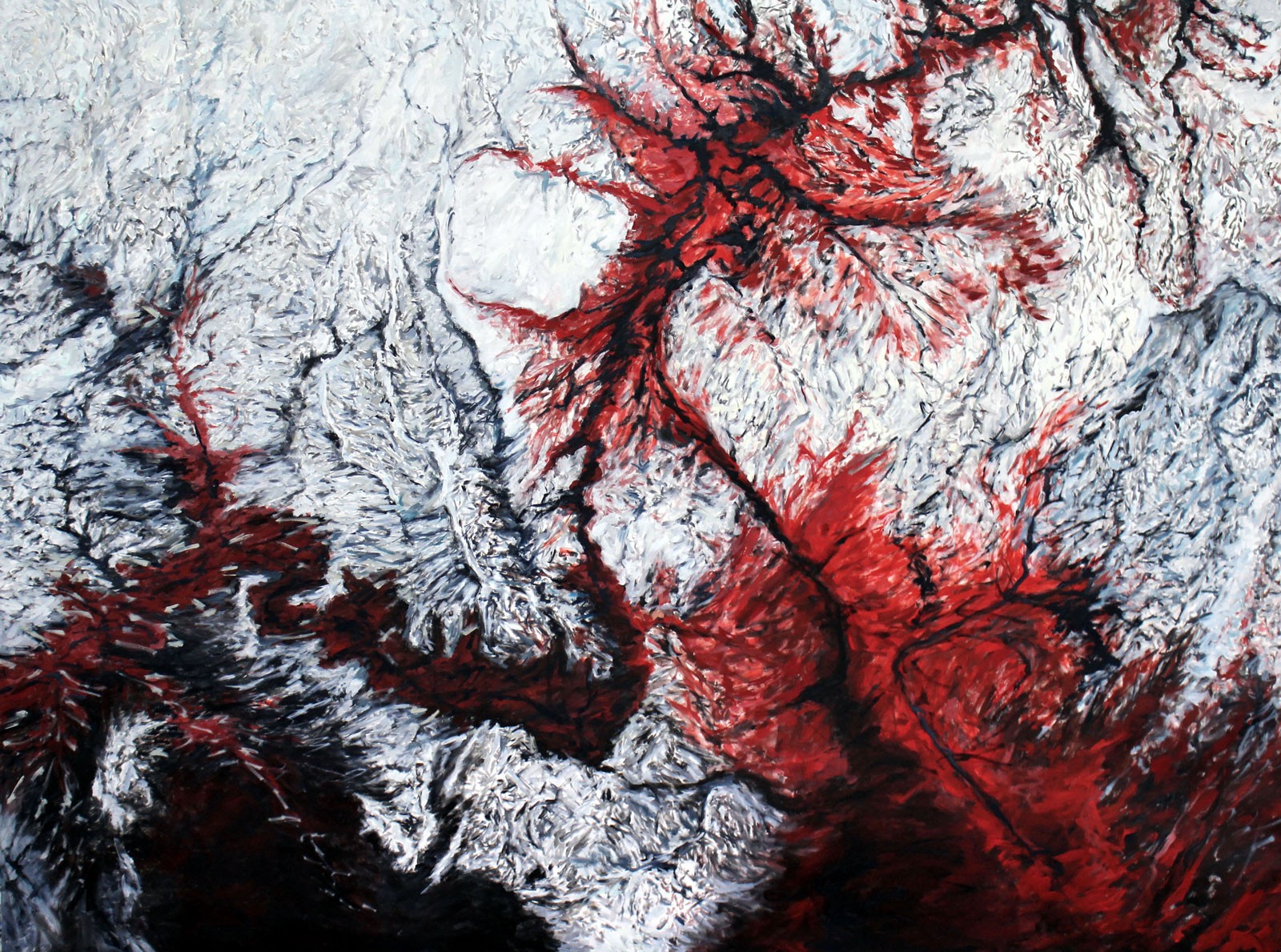 Abstract white, red, and black cartography of a canyon from above