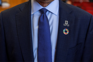 An IUPUI pin and SDG pin on a suite